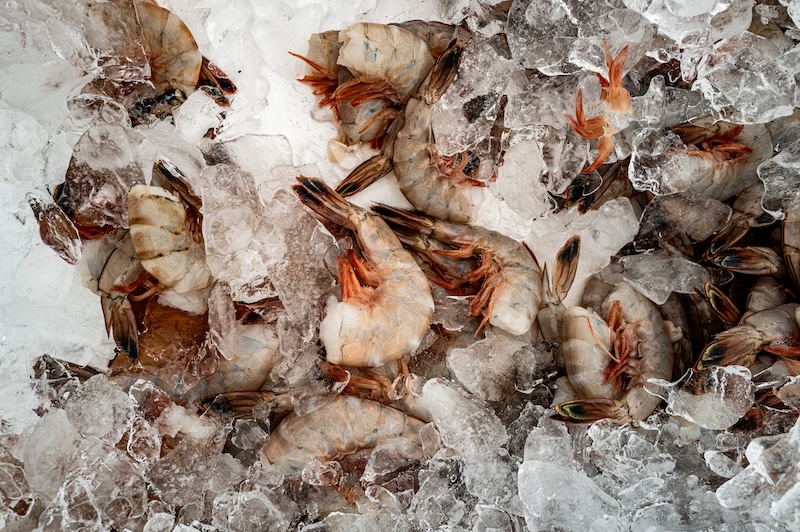 Frozen shrimp illustrating how both fresh and frozen shrimp can be nutritious choices.