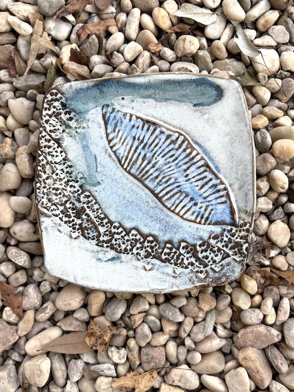 Plate by Bevan Brynne Bowler