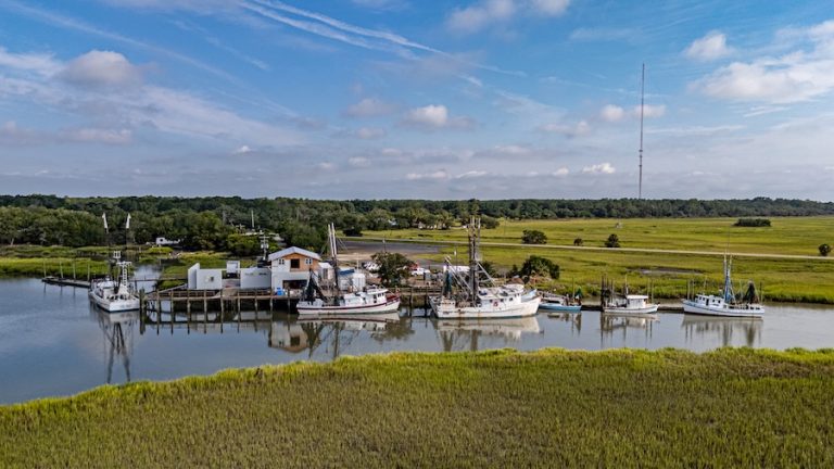 Gay Fish Company shrimp boats and working waterfront surrounded by marshes on St. Helena Island, South Carolina.