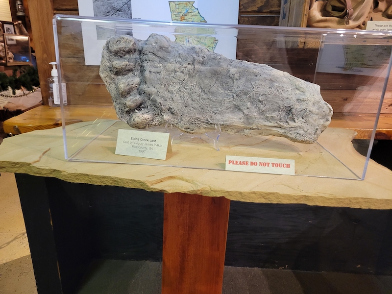 Cast of an alleged Bigfoot footprint made near Elkins Creek in Pike County, Georgia