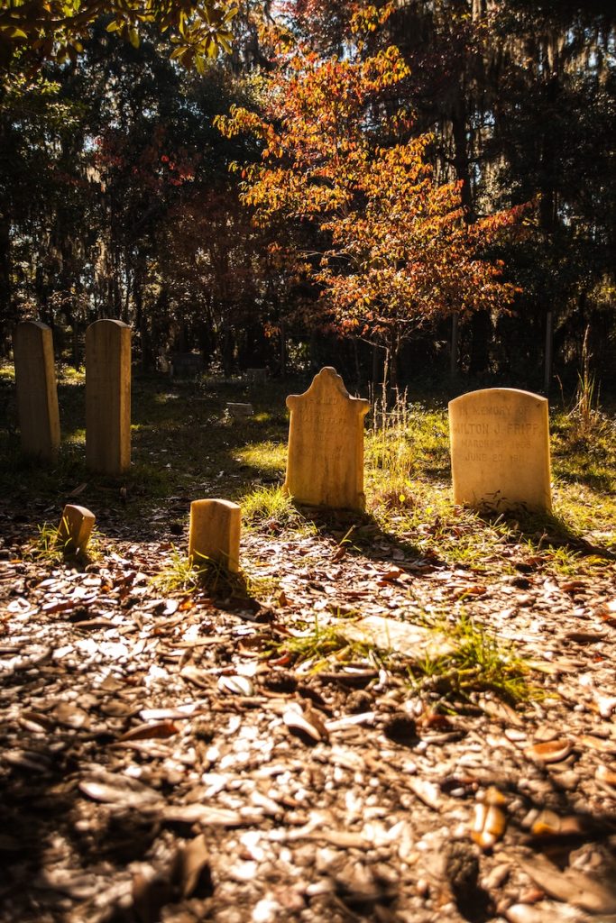 Mary Dunn Cemetery on Daufuskie Island, believed to be the burial place of Loyalist militia leader Philip Martinangele