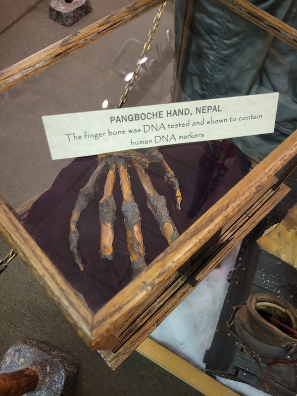 Pangboche Hand from Nepal -  Expedition:Bigfoot! The Sasquatch Museum, Blue Ridge, Georgia, USA  - March 6th, 2023