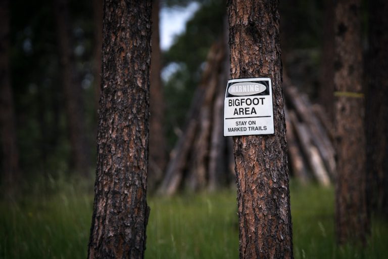 Bigfoot Area warning sign attached to a tree along a wooded trail