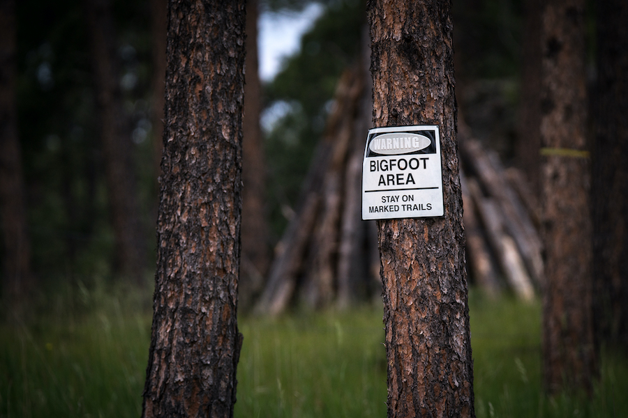 Bigfoot Area warning sign attached to a tree along a wooded trail