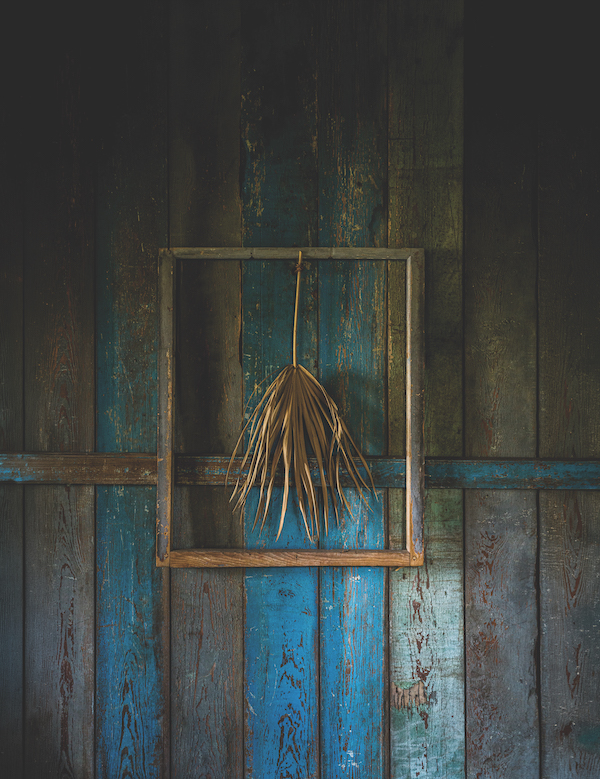 Dried palm frond hanging against weathered blue wooden boards