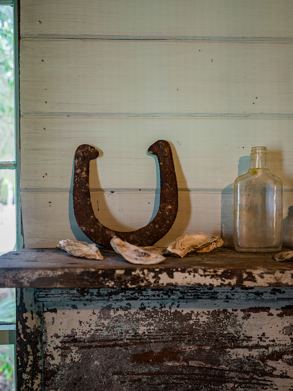 Rusted horseshoe displayed beside seashells
