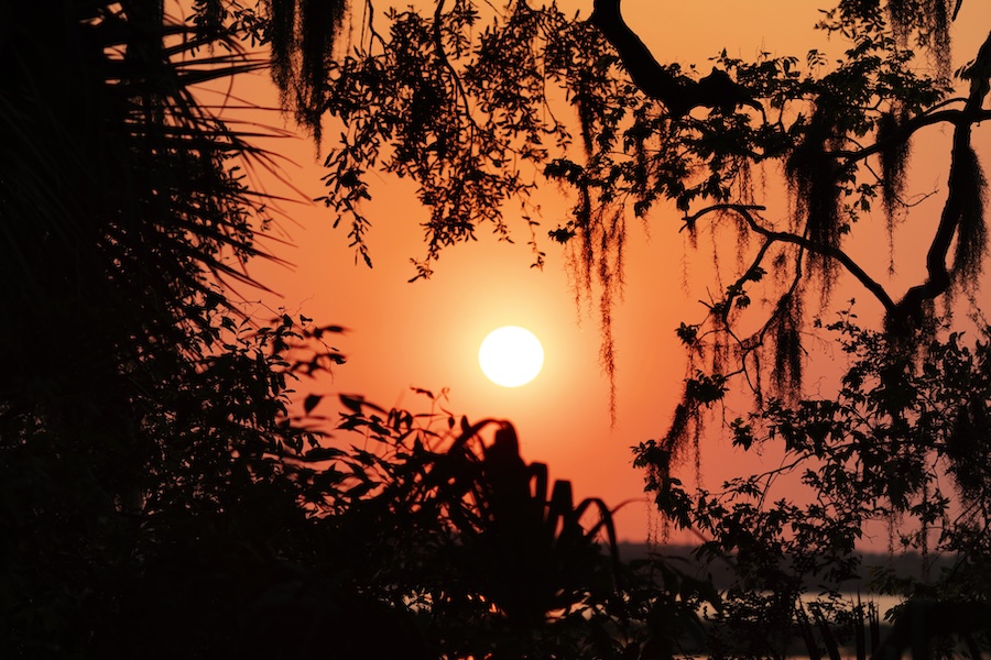 Skull Creek at sunset framed by silhouetted live oaks and Spanish moss on Hilton Head Island