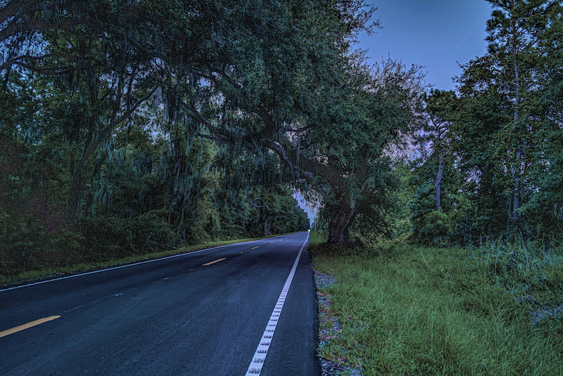 Dark stretch of Land’s End Road with a small distant glow beyond the live oak