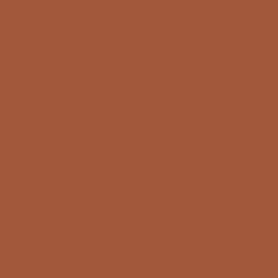 Sherwin-Williams Pennywise (SW 6349)