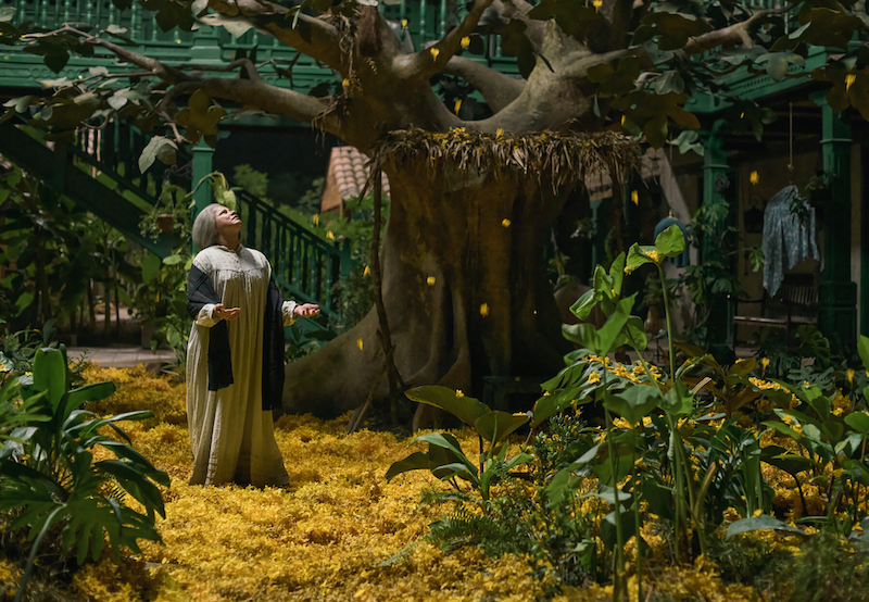 Úrsula Iguarán standing amid a shower of yellow flowers in Netflix’s One Hundred Years of Solitude