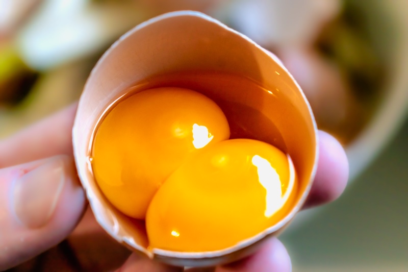 Cracked egg containing two yolks