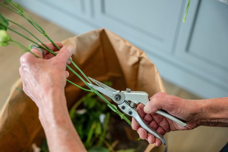 Kim Epley farmer blue trimming flower stems for Lowcountry tablescape