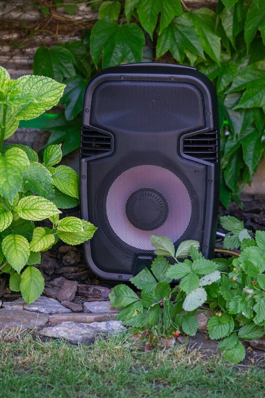 Black speaker positioned among garden greenery