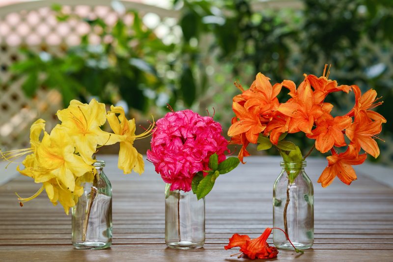 Small colorful flower arrangements displayed together
