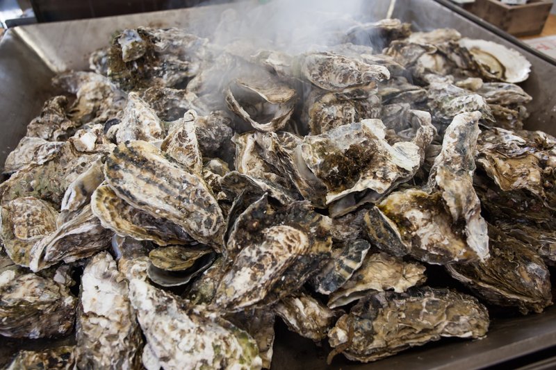 Pile of oyster shells after an oyster roast